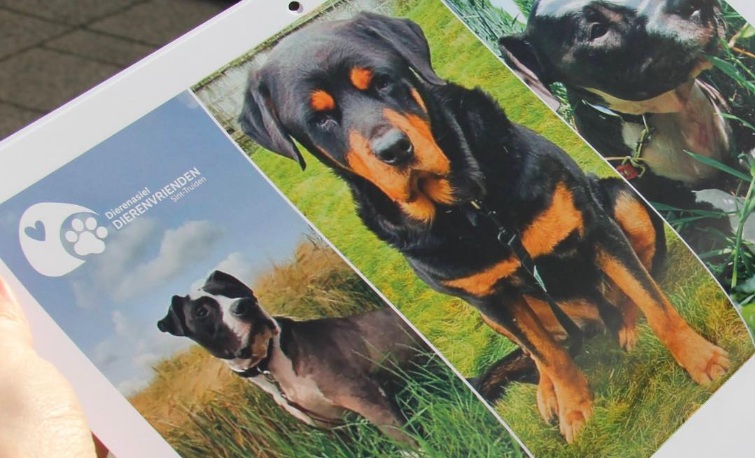 De Photobooth: Een Must-Have voor je Bruiloft! - Pluim Trouwfotografie